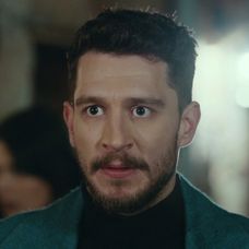 Veľvyslancova dcéra