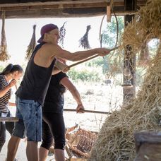 Dáša, Peter a Jana sa pustili do práce