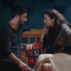 Veľvyslancova dcéra