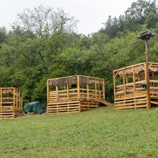 Tu nájdu farmári po príchode zvieratá