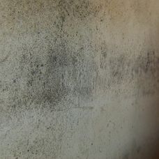 Špina v domácnosti v Zámene manželiek