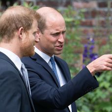 Princovia Harry a William