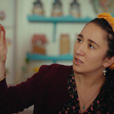 Veľvyslancova dcéra