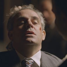 holubec nakladacka.jpg_bez_watermarku_1.6