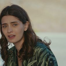 Veľvyslancova dcéra