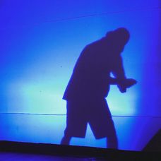 Majlov príchod na vilu.