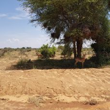 Markizák dovolenkoval s rodinkou v Afrike. Zábery, ktoré vám vyrazia dych