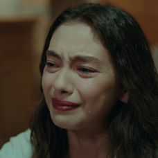 Veľvyslancova dcéra