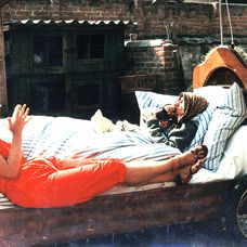 Slunce, seno, jahody