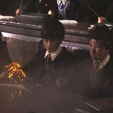 Harry Potter a Kameň mudrcov