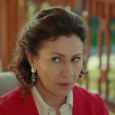 Veľvyslancova dcéra