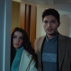 Láska, rozum, pomsta