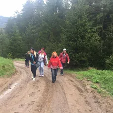Bez servítky