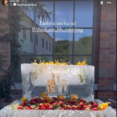 Vydarená svadba Sone Štefkovej