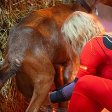 Dojenie kozy zvládla Natália na jednotku