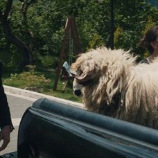 Zachránené životy