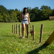 Totálne sklamaný hospodár, Roman ide domov už po druhýkrát