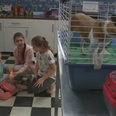 Mimi nepočúvla Tomášov zákaz.