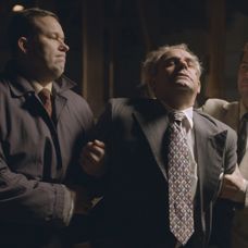 holubec nakladacka.jpg_bez_watermarku_1.7