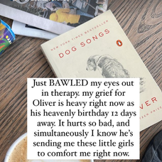 Hviezda americkej šou The Bachelor Sarah Herron čaká dvojičky.