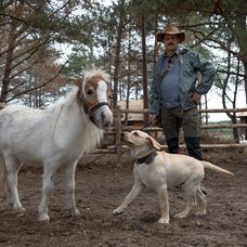 Goldyho si obľúbili všetci farmári aj zvieratká