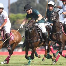 Princ Harry na póle