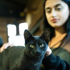 32. deň na Farme. Idylka na statku, alebo ticho pred búrkou?