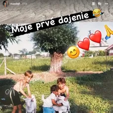Dávidove spomienky na detstvo