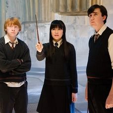 Harry Potter a Fénixov rád
