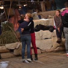 Ivana nestačila v súboji na Mišku