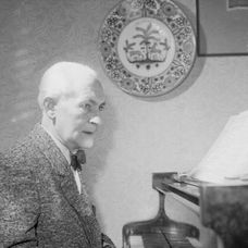 František Krištof Veselý