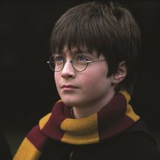 Harry Potter a Kameň mudrcov
