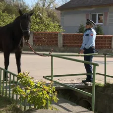 Stano Sojka v Hornej Dolnej