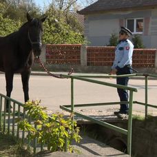 Stano Sojka v Hornej Dolnej