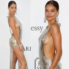 Shanina Shaik