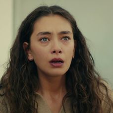 Veľvyslancova dcéra