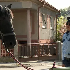 Stano Sojka v Hornej Dolnej