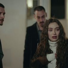 Veľvyslancova dcéra