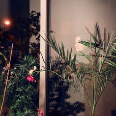 Nakrúcanie videoklipu Jany Kirschner k piesni Dunaj