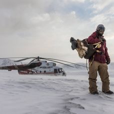 The Fourth Phase: Na hrane