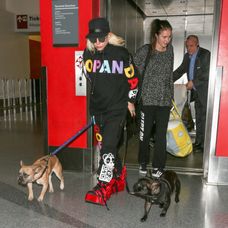 Lady Gaga a jej miláčikovia