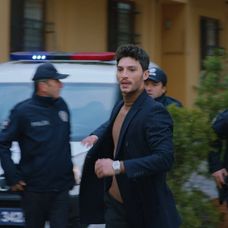 Láska, rozum, pomsta