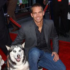 Paul Walker by oslávil 50 rokov