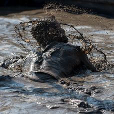 Toto by mohol byť Šmahel. Ale ruku do ohňa za to nedáme ...