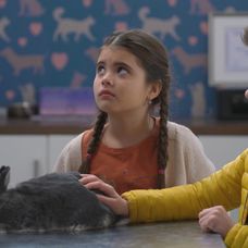 Smutný Ferko sa musí rozlúčiť s milovaným zvieratkom.