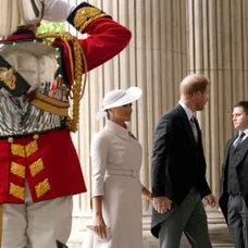 Meghan s Harrym