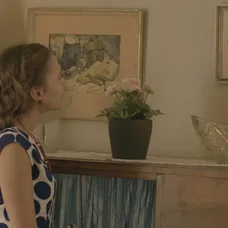 Vzácny obraz v Dunaji