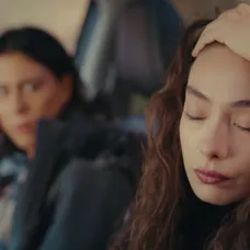 Veľvyslancova dcéra