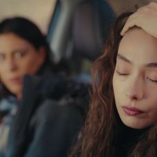 Veľvyslancova dcéra