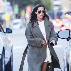 Brad Pitt s Ines de Ramon